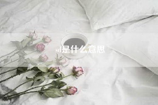 sd是什么意思