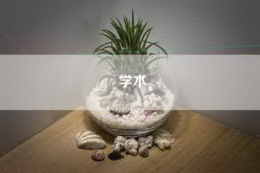 学术