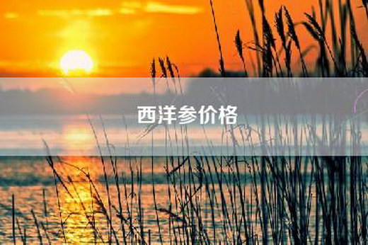 西洋参价格