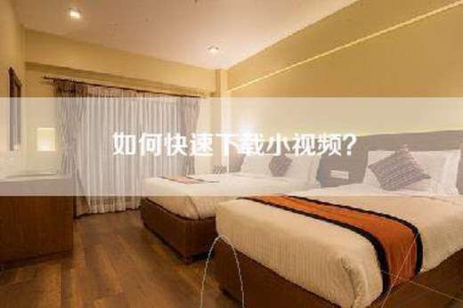 如何快速下载小视频？