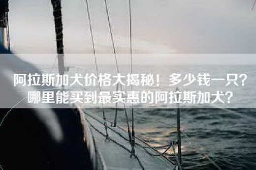 阿拉斯加犬价格大揭秘！多少钱一只？哪里能买到最实惠的阿拉斯加犬？