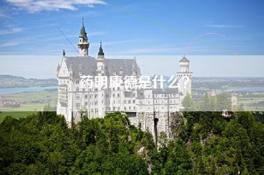 药明康德是什么？