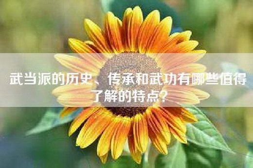 武当派的历史、传承和武功有哪些值得了解的特点？