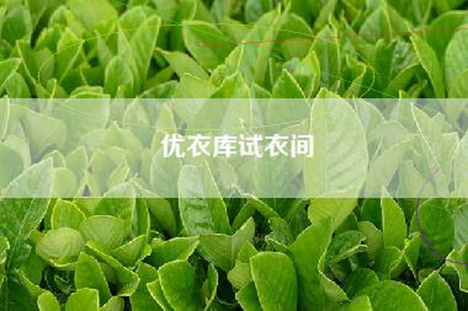 优衣库试衣间