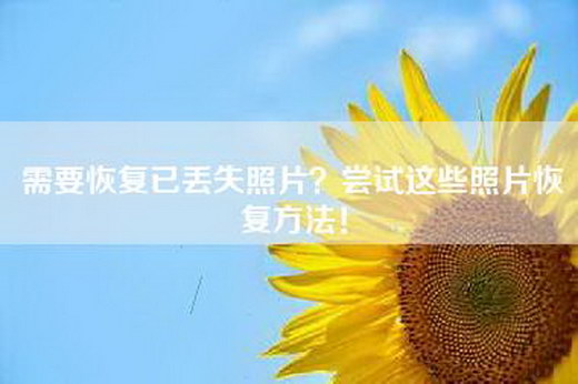 需要恢复已丢失照片？尝试这些照片恢复方法！