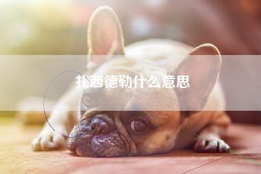 扎西德勒什么意思