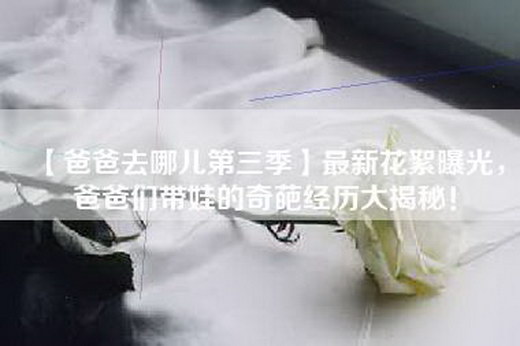 【爸爸去哪儿第三季】最新花絮曝光，爸爸们带娃的奇葩经历大揭秘！