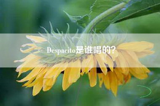 Despacito是谁唱的？
