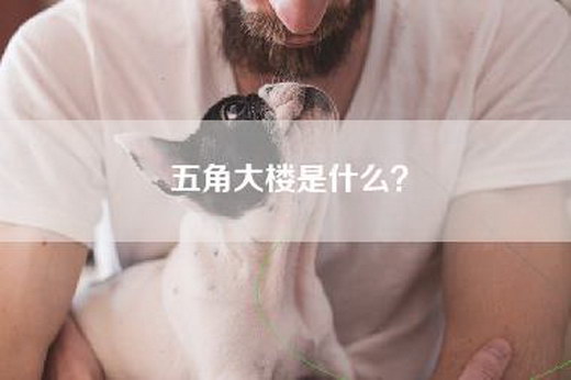 五角大楼是什么？