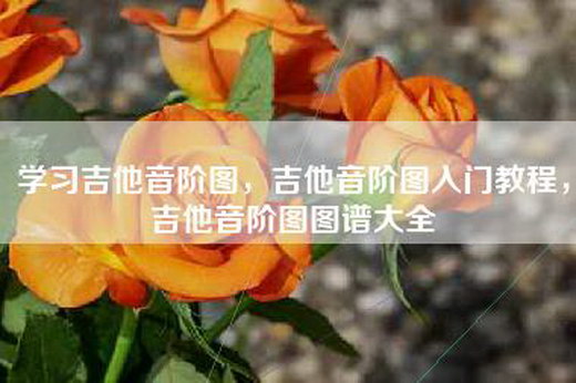 学习吉他音阶图，吉他音阶图入门教程，吉他音阶图图谱大全