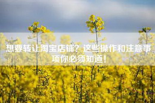 想要转让淘宝店铺？这些操作和注意事项你必须知道！