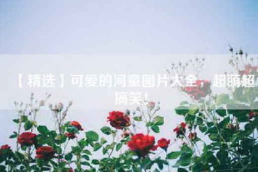 【精选】可爱的河童图片大全，超萌超搞笑！