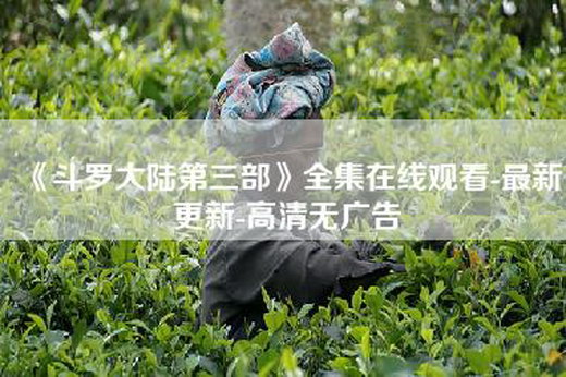 《斗罗大陆第三部》全集在线观看-最新更新-高清无广告