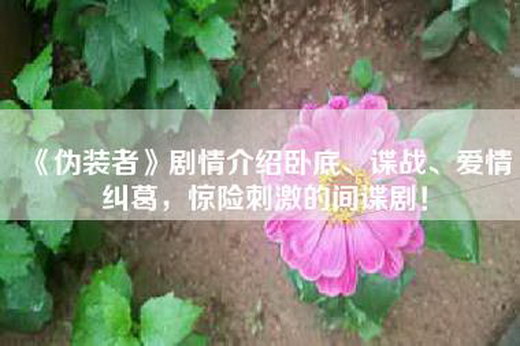 《伪装者》剧情介绍卧底、谍战、爱情纠葛，惊险刺激的间谍剧！