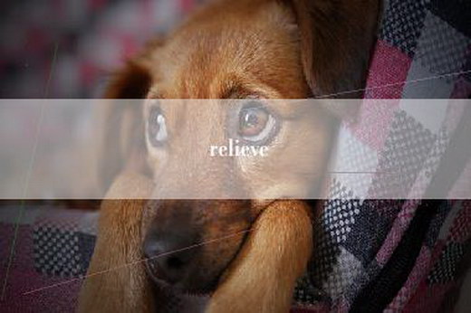 relieve