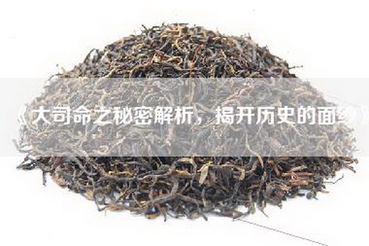 《大司命之秘密解析，揭开历史的面纱》