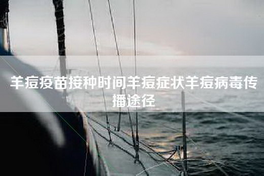 羊痘疫苗接种时间羊痘症状羊痘病毒传播途径