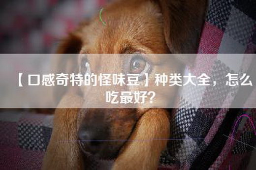 【口感奇特的怪味豆】种类大全，怎么吃最好？