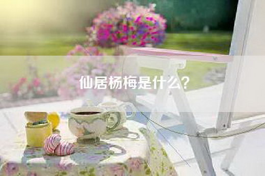 仙居杨梅是什么？
