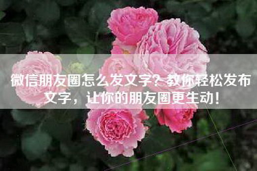 微信朋友圈怎么发文字？教你轻松发布文字，让你的朋友圈更生动！