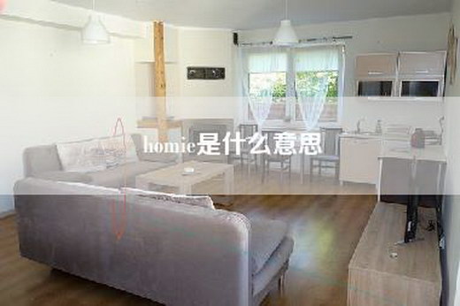 homie是什么意思