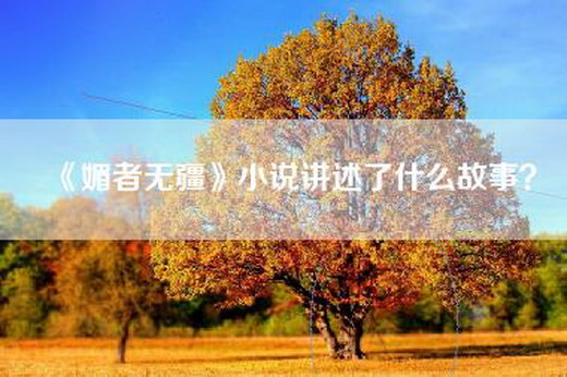 《媚者无疆》小说讲述了什么故事？