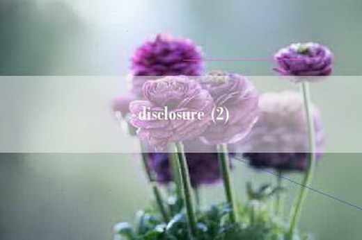 disclosure (2)
