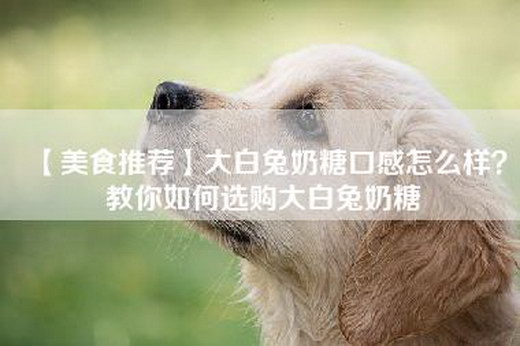 【美食推荐】大白兔奶糖口感怎么样？教你如何选购大白兔奶糖