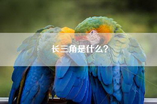 长三角是什么？