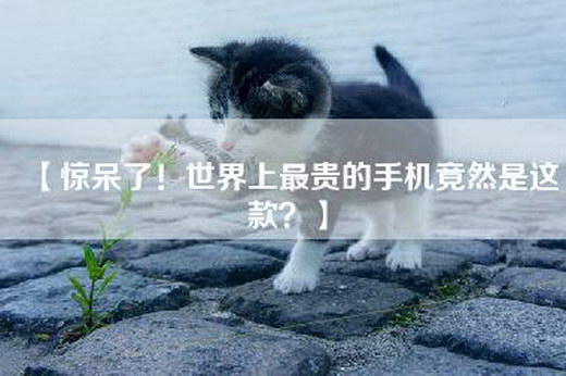 【惊呆了！世界上最贵的手机竟然是这款？】