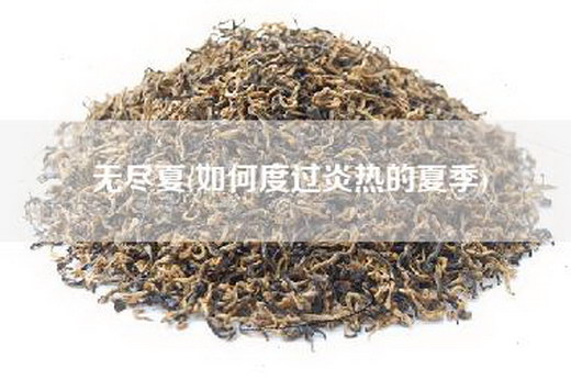 无尽夏(如何度过炎热的夏季)