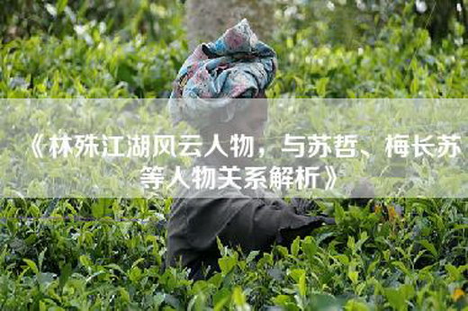 《林殊江湖风云人物，与苏哲、梅长苏等人物关系解析》