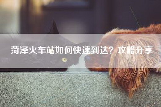 菏泽火车站如何快速到达？攻略分享