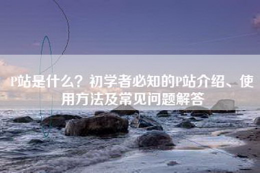 P站是什么？初学者必知的P站介绍、使用方法及常见问题解答