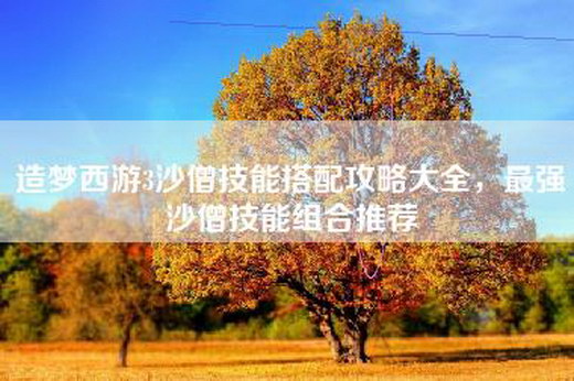 造梦西游3沙僧技能搭配攻略大全，最强沙僧技能组合推荐