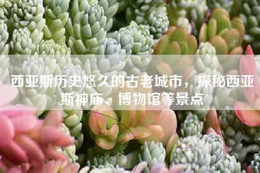 西亚斯历史悠久的古老城市，探秘西亚斯神庙、博物馆等景点