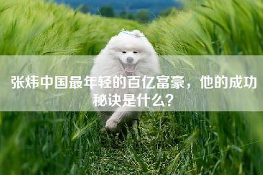 张炜中国最年轻的百亿富豪，他的成功秘诀是什么？