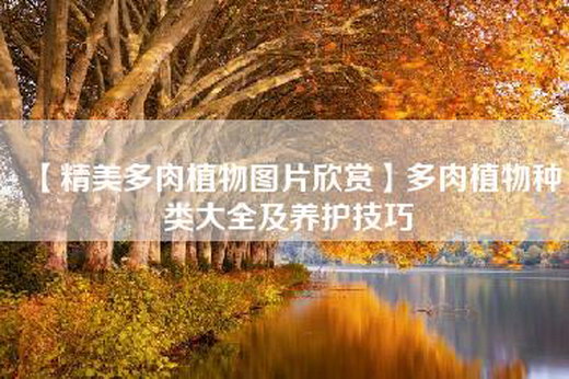 【精美多肉植物图片欣赏】多肉植物种类大全及养护技巧