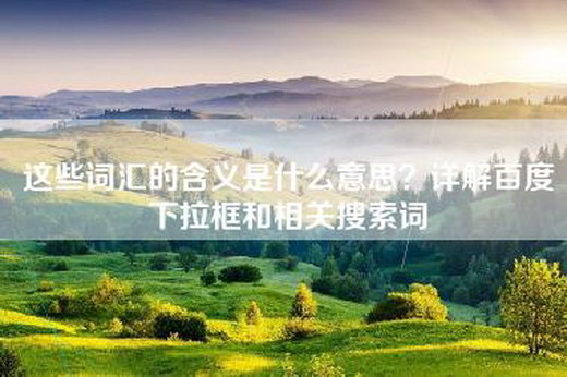 这些词汇的含义是什么意思？详解百度下拉框和相关搜索词