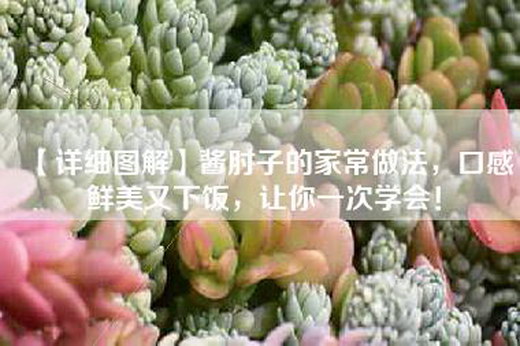【详细图解】酱肘子的家常做法，口感鲜美又下饭，让你一次学会！