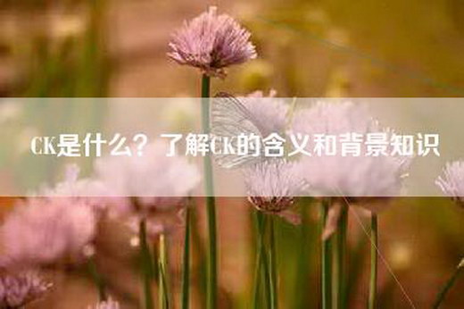 CK是什么？了解CK的含义和背景知识