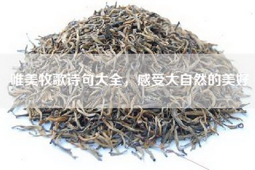 唯美牧歌诗句大全，感受大自然的美好