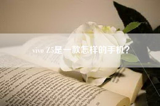 vivo Z5是一款怎样的手机？