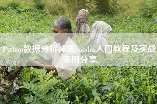 Python数据分析神器pandas入门教程及实战案例分享