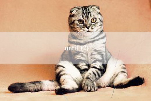 until (2)