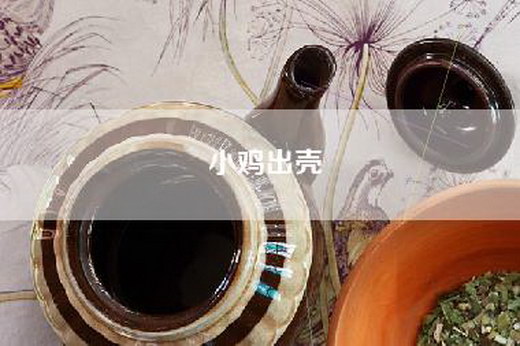 小鸡出壳