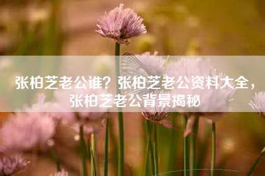 张柏芝老公谁？张柏芝老公资料大全，张柏芝老公背景揭秘