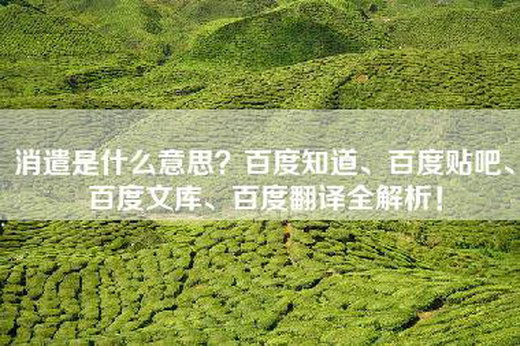 消遣是什么意思？百度知道、百度贴吧、百度文库、百度翻译全解析！
