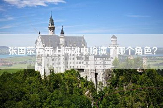 张国荣在新上海滩中扮演了哪个角色？
