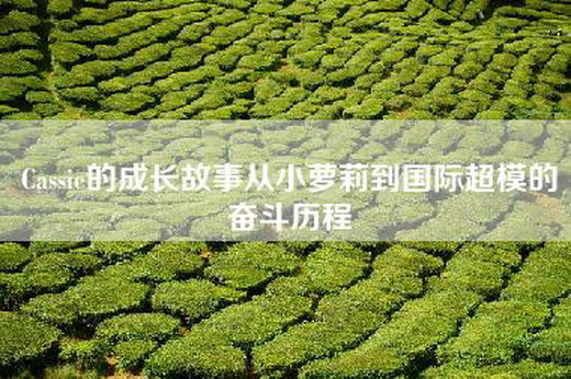 Cassie的成长故事从小萝莉到国际超模的奋斗历程